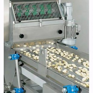 GNOCCHI INDUST - DÉTAIL OK SITE